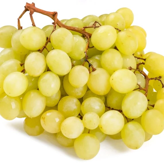 Виноград культурный Амурский Белый в тубе